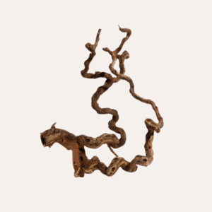 Winewood