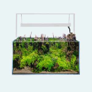 Aquael Ultrascape 90 Snow 243L