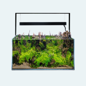 Aquael Ultrascape 90 Forest 243L