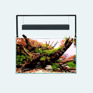 Aquael UltraScape 60 Forest 64L