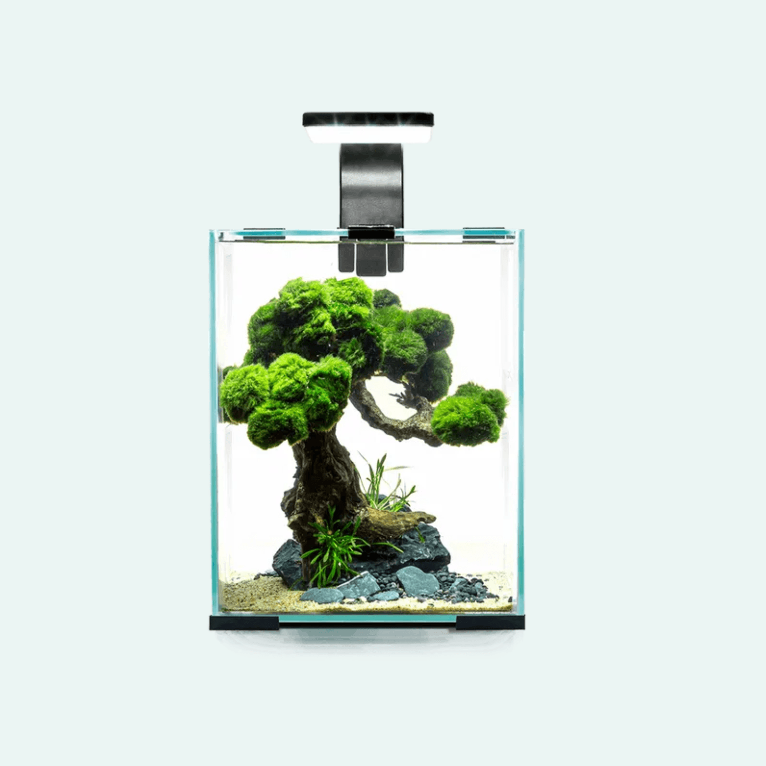 AquaEL SHRIMP SET SMART D&N SVART 19L