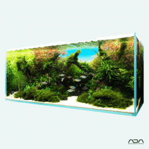 ADA Cube Garden - 14 storlekar