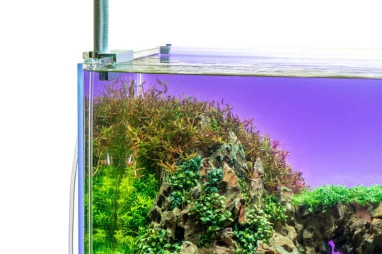 UNS Atmos LED Backlight - Ledpanel - Nordic Aquadesign