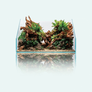 UNS Paludarium