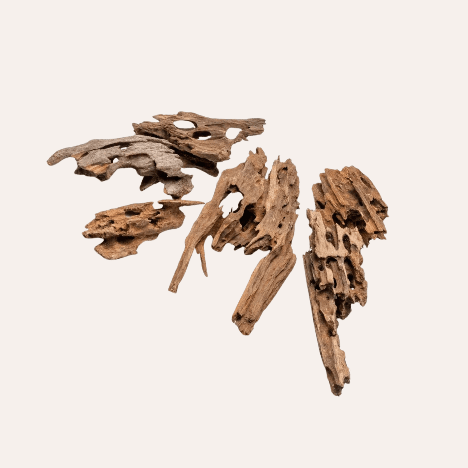 Dragon Wood M 20-30cm