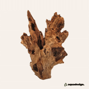 Baricorot 20-30cm