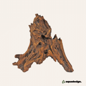 Mangroverot 35-60cm
